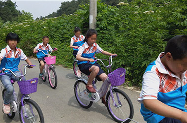 �˶�����